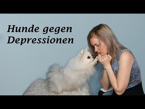 Darum können Hunde gegen Depressionen helfen // So beugen Haustiere psychische Erkrankungen vor