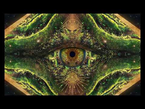 Poranguí & Liquid Bloom- "Feathered Serpent" Kuya Sessions: Cura