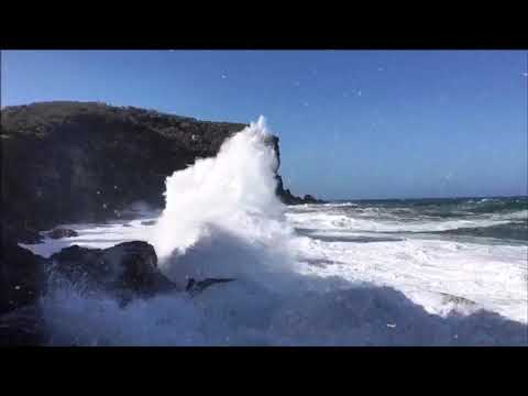 Vitamin Sea (music video) - Viola Le Compte