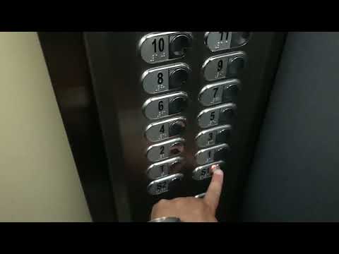 Otis modelinho MOD botoeiras