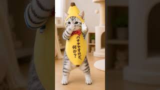 banana cat #cat #matercat #kittens #dance