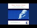 Royal Winter Music, Guitar Sonata No. 1, III. Ariel