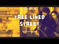 Tree Lined Street - Ron Sexsmith (Cover by James Rone)