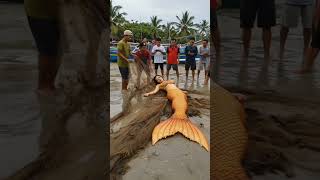 Download lagu Simulasi Ai: Viral! Nelayan Temukan Sosok Mirip Putri Duyung di Jaring #short #shorts #shortvideo mp3