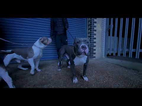 Koinz - Away for a sec [Music Video] Grind4Dayz
