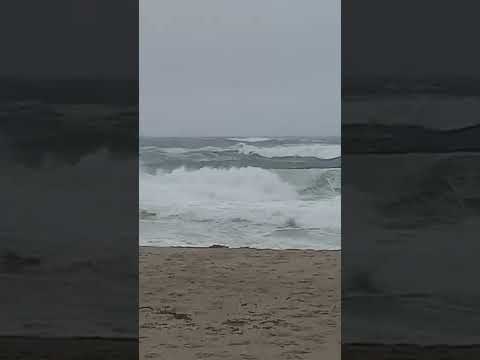 Nauset Beach Surf