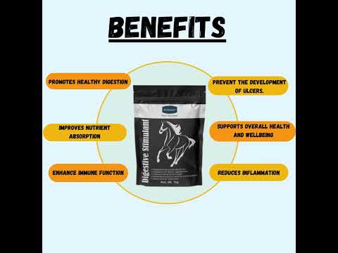 Digestive stimulant for equine