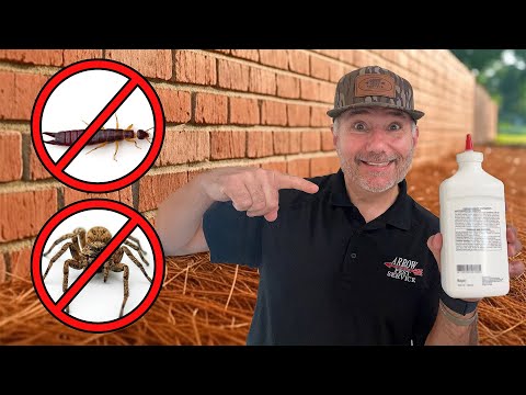 Most Effective Pest Control Treatment Nobody Talks About!