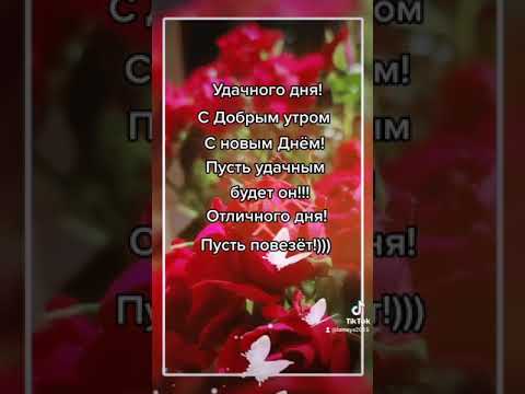 С добрым утром🌸 С новым🌸 Днем! 🌸Пусть повезёт!#shorts
