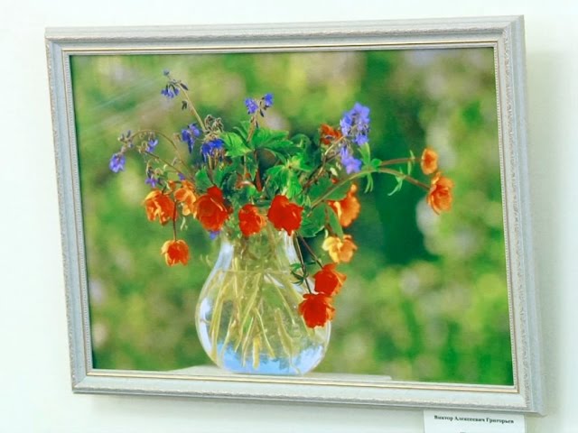 Натюрморт глазами фотохудожника