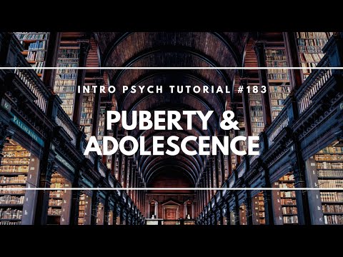Developmental Psychology Erikson s 8 Ages of Man Intro Psych Tutorial 171