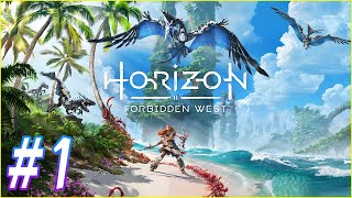 【ホライゾン 2】#1 世界の崩壊を防ぐため、新たな地と物語が始まる！！！【Horizon Forbidden West 初見実況プレイ】