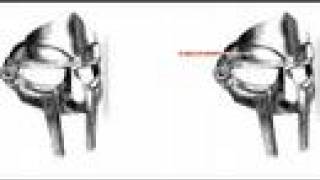 MF Doom(King Geedorah) - Fazers