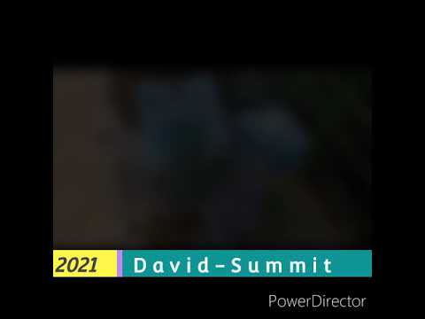 David Summit