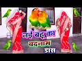 नई बहू का पहली रात धमाकेदार डांस बालम �
