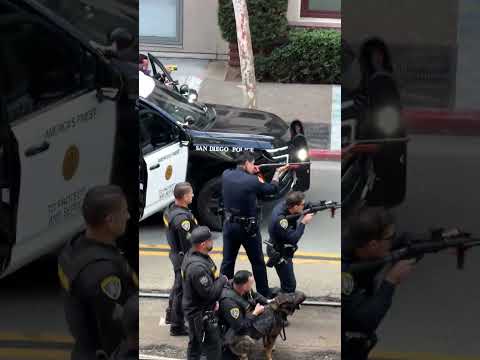 Police Dog Takes Down Armed Suspect in Downtown San Diego