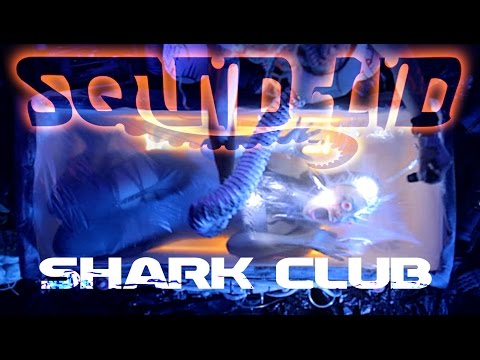 Squid Lid - SHARK CLUB [2015]