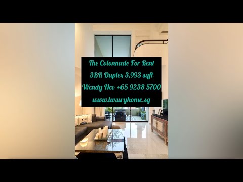 The Colonnade, 82 Grange Road, 3 Bedrooms, 3,993 sqft, Condominium For Rent, by Wendy Neo Wan Wah, 25366133 - PropertyGuru.com.sg