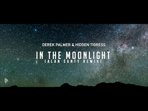 TRANCE RELEASE || Derek Palmer & Hidden Tigress - In The Moonlight (Alan Santy Remix)