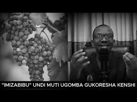 "IMIZABIBU" UNDI MUTI UGOMBA GUKORESHA KENSHI GASHOBOKA