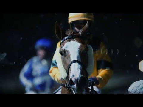 Showdown beim Renntag in Dortmund