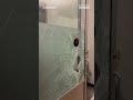 Damage seen in Columbias Hamilton Hall after NYPD remove protesters - Video