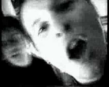 Hausarest-Blame it on the Punx