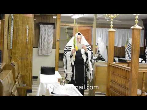 Hoshana Rabbah 5777 With Mezibush Rebbe