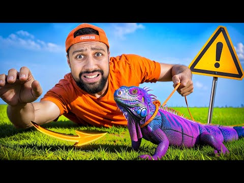 Իմ Նոր Ընտանի Կենդանին (Փոքրիկ Դրակոն)...