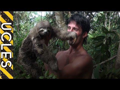 download lagu mp3 mp4 Fast Sloth, download lagu Fast Sloth gratis, unduh video klip Fast Sloth