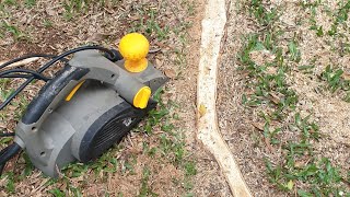 How to get rid of exposed tree roots.