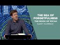 The Sea of Forgetfulness  |  The Book of Micah  |  Gary Hamrick