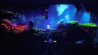 ORI AND THE WILL OF THE WISPS - i9-12900K + RTX 3090ti - AW3423DW - ULTRAWIDE OLED