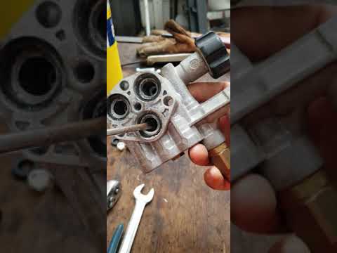 Remove RMV, RMW pump check valve on pressure washer