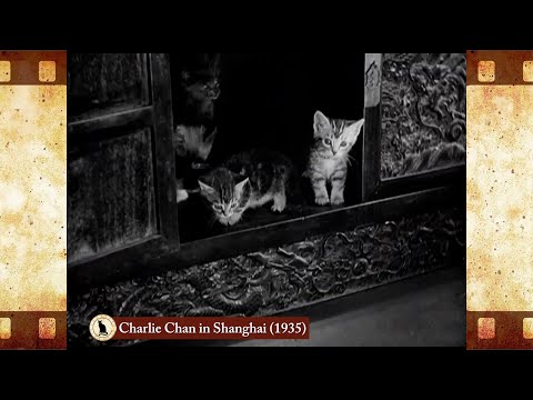 Charlie Chan em Shanghai (1935) | Charlie Chan in Shanghai | EUA 🐱 Gato no Cinema 🎥🐈