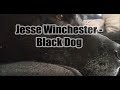 Jesse Winchester - Black Dog [Lyric video]