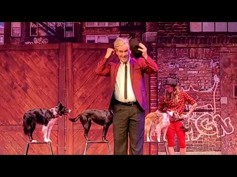 7.)  "Mutts Gone Nuts" at the Performing Arts Center - Jan. 22nd, 2023