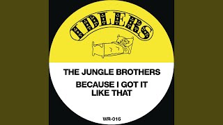 Because I Got It Like That (Dub It Like That)