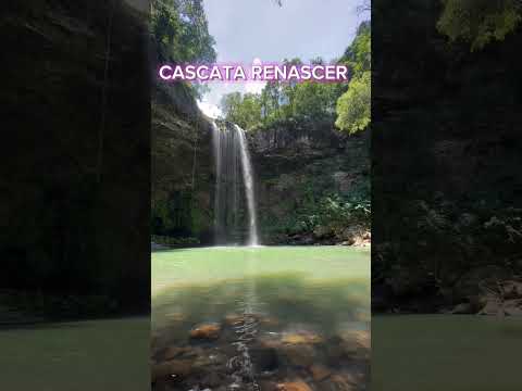 CASCATA RENASCER #shorts #cascata #natureza