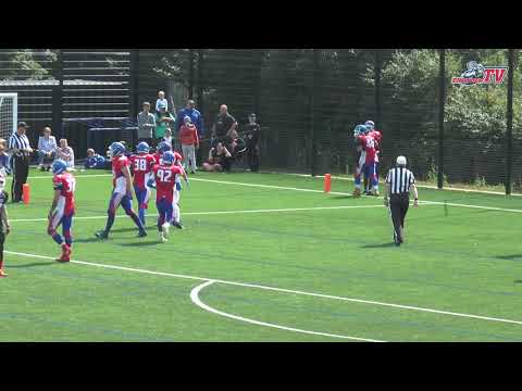 2019 - Sussex Thunder vs Berkshire Renegades  - Highlights