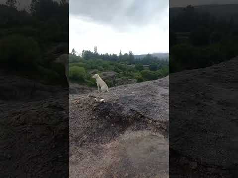 Así esta el río de #minaclavero nido del aguila #argentina #cordoba #verano2026 #lluviasfuertes