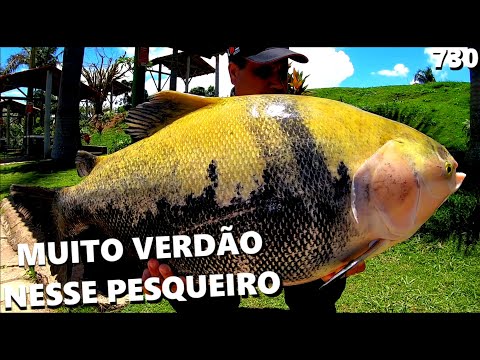 Pesque-Pague Taguatinga