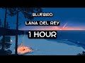 Lana Del Rey Bluebird 1 Hour Loop