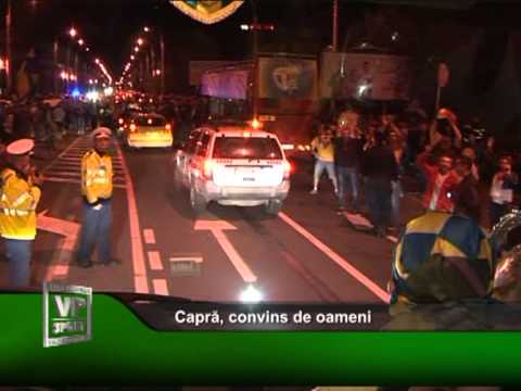 Capră, convins de oameni