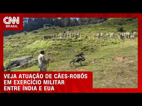 Cães-robôs entram em ação durante exercício militar entre Índia e EUA | CNN BRASIL