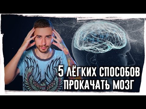 5 способов ПРОКАЧАТЬ МОЗГ быстро и легко►Развитие мозга