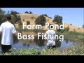 Farm Pond Bass Fishing 