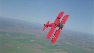 Follow That Bird: Upside Down World