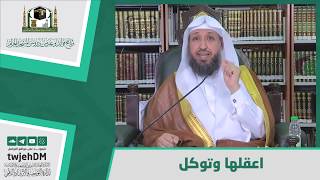 صورة " اعقلها وتوكل " -  لفضيلة الشيخ د حسن بخاري