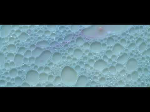 Snowk - Miyanomori feat. Froya